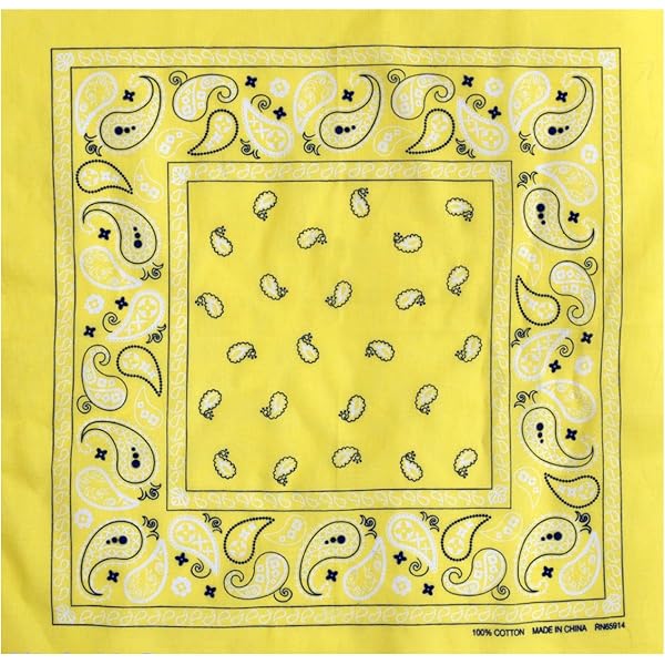 Amazon.com: Pendleton Bandana, Harding Bright, 1-SZ